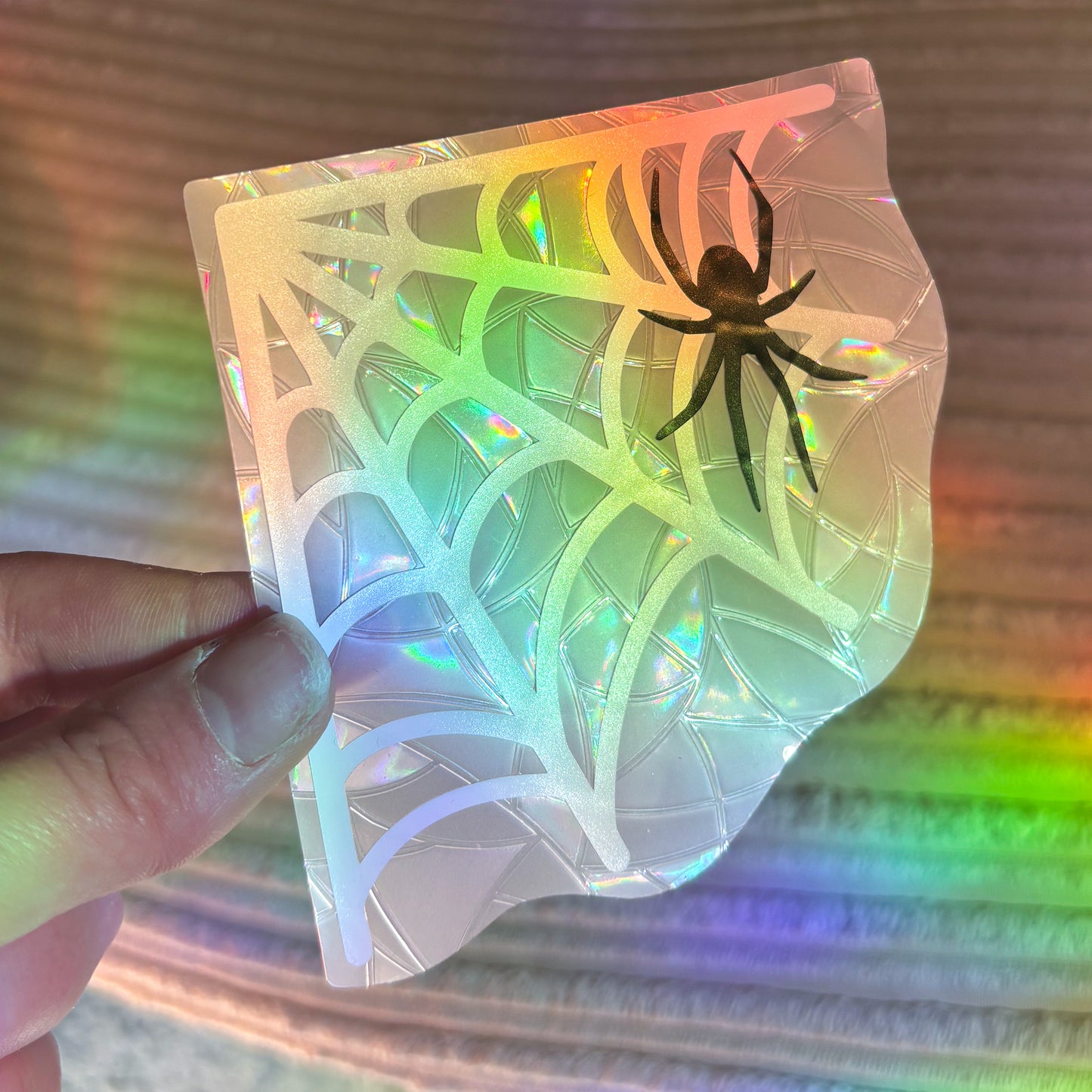 Spider Web Suncatcher