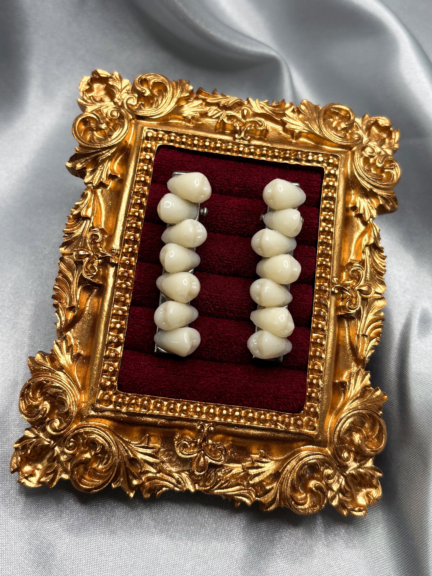 INCISOR TOOTH HAIR CLIPS