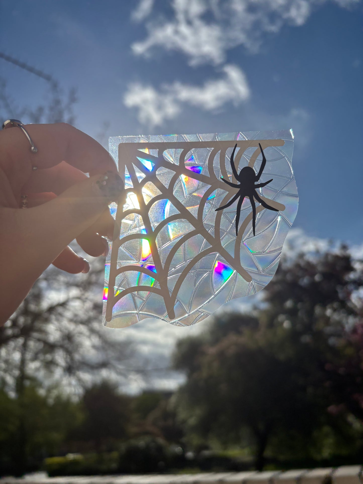 Spider Web Suncatcher